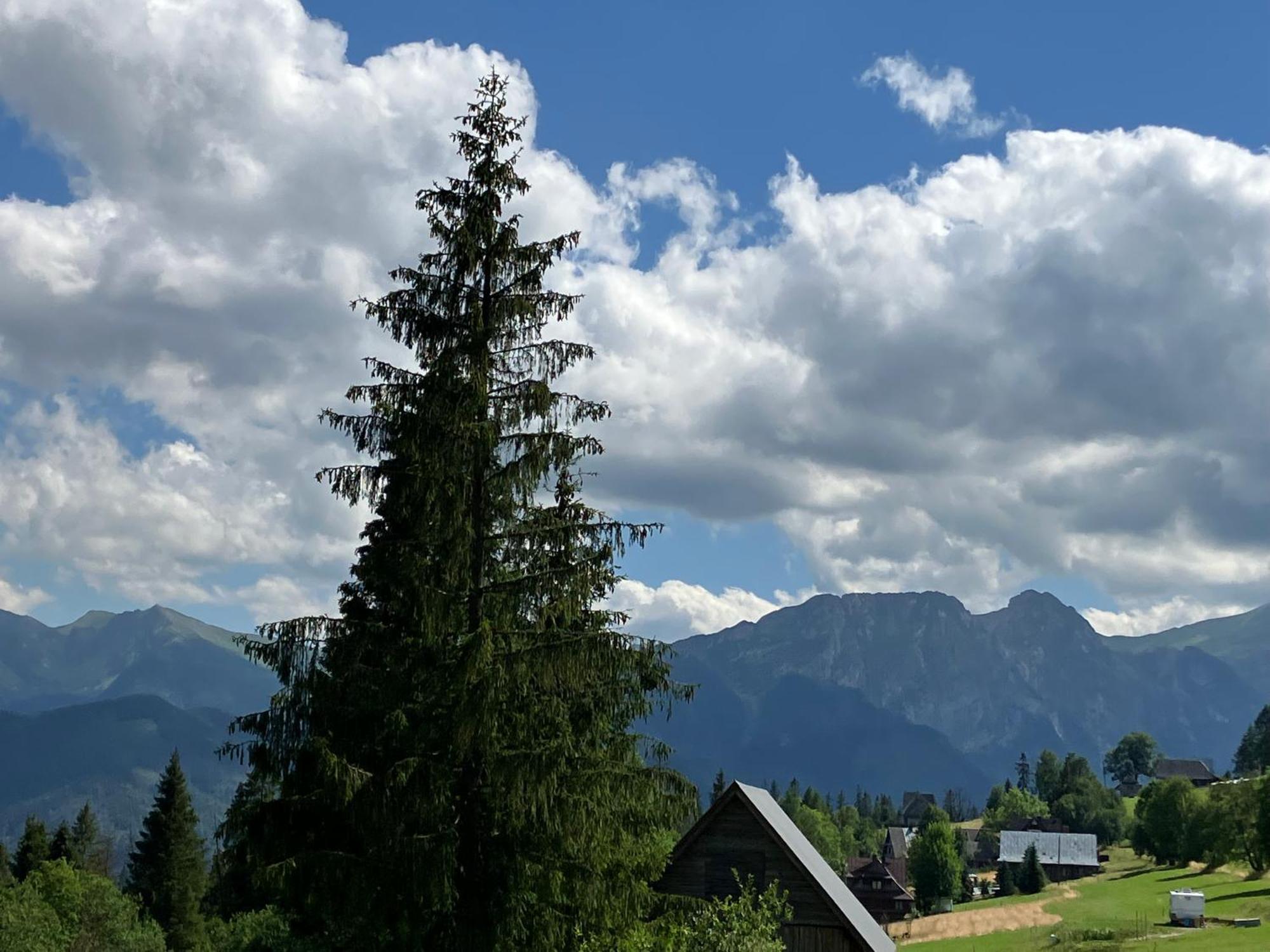 Hotel Mala Bawaria Zakopane Esterno foto